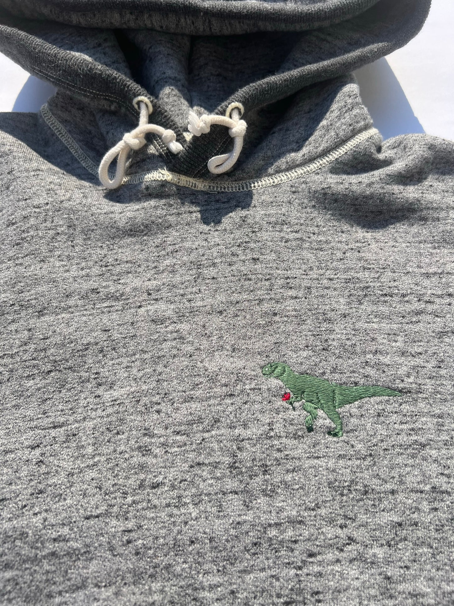 Hooded Sweatshirt - T-Rex