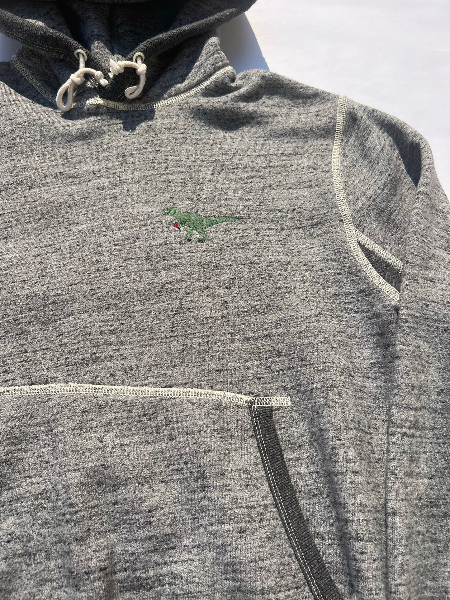 Hooded Sweatshirt - T-Rex