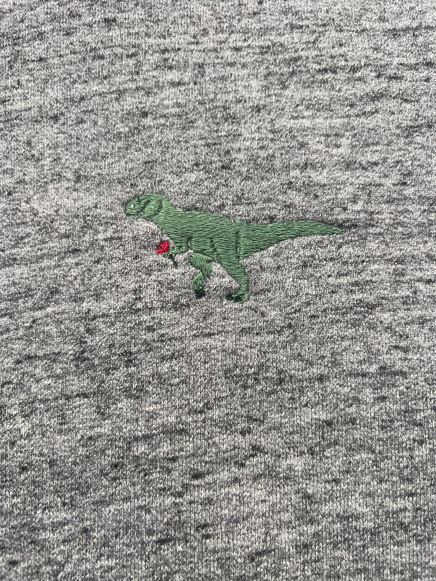 Hooded Sweatshirt - T-Rex